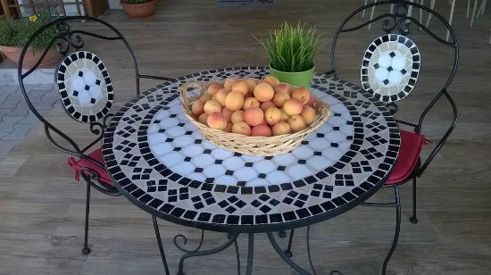 Il Casale Di Rodolfo Bed and Breakfast Termoli Εξωτερικό φωτογραφία